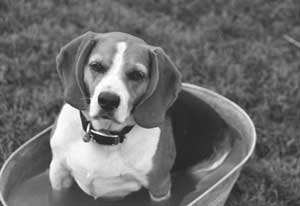 Is this the life or what?