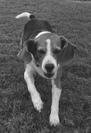 Hey, looks like fresh water!