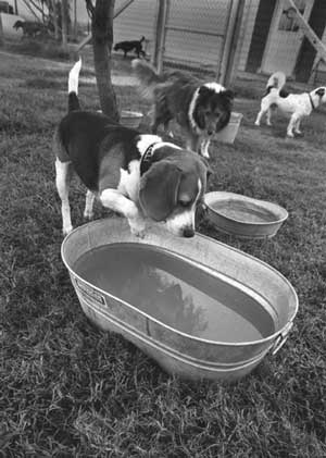 Better test it out...