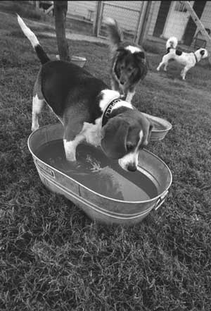 Maybe I'll just take a little dip.