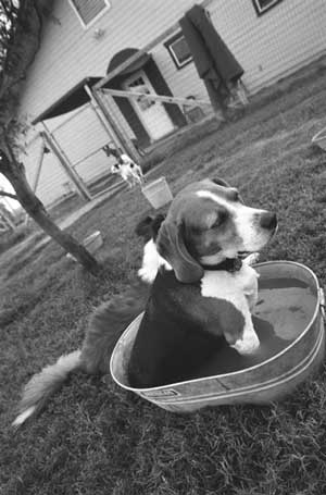 Oh yeah, now you're talkin'!