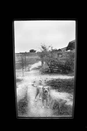 Rain feels like a kid again!