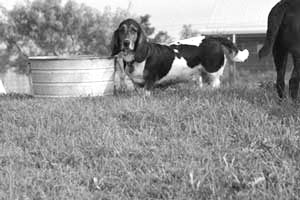 What you talkin' 'bout, Otis?