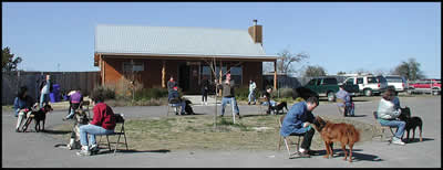 Musical chairs with Owners and their pups in a Level - II Class.
