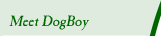 Meet DogBoy