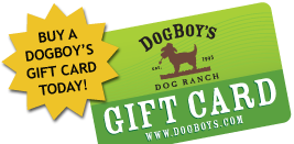 DogBoy's Gift Cards!
