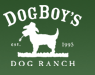 Dog Boarding and dog training in Austin, TX