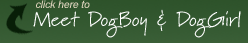 Meet the owners of DogBoy's Dog Ranch