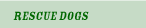 Rescue Dogs