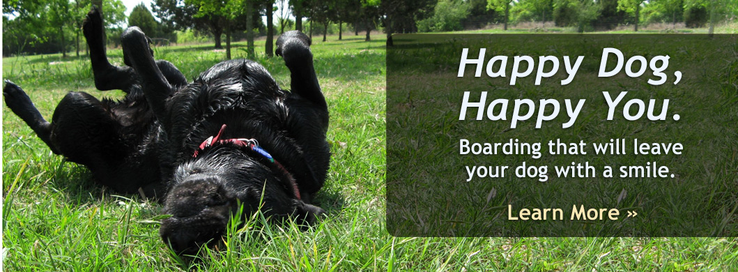happy dog happy you