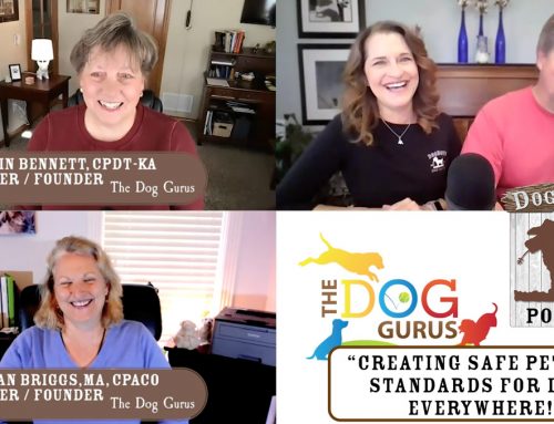 The Dog Gurus: Creating Safe Pet Care Standards for Dogs Everywhere!