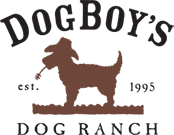 DogBoy's Dog Ranch Logo
